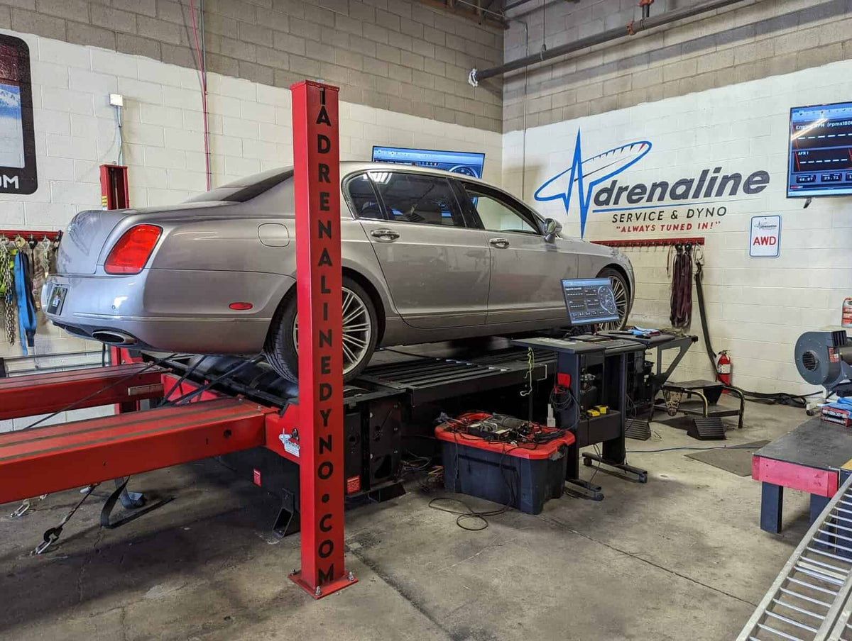 DYNO PUNCH PASS image 4