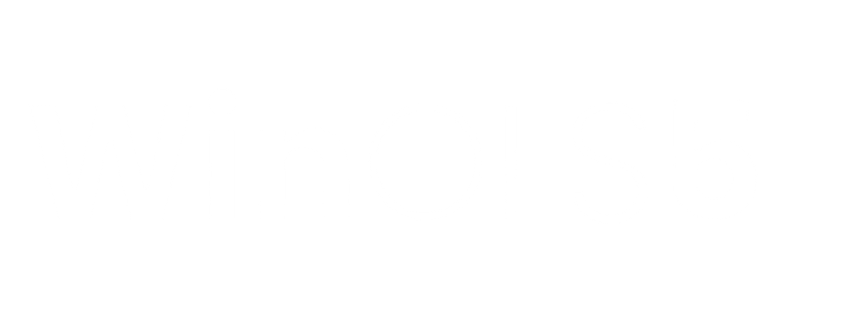 EVC WinOLS 5 – Full version with 1 user license image 2