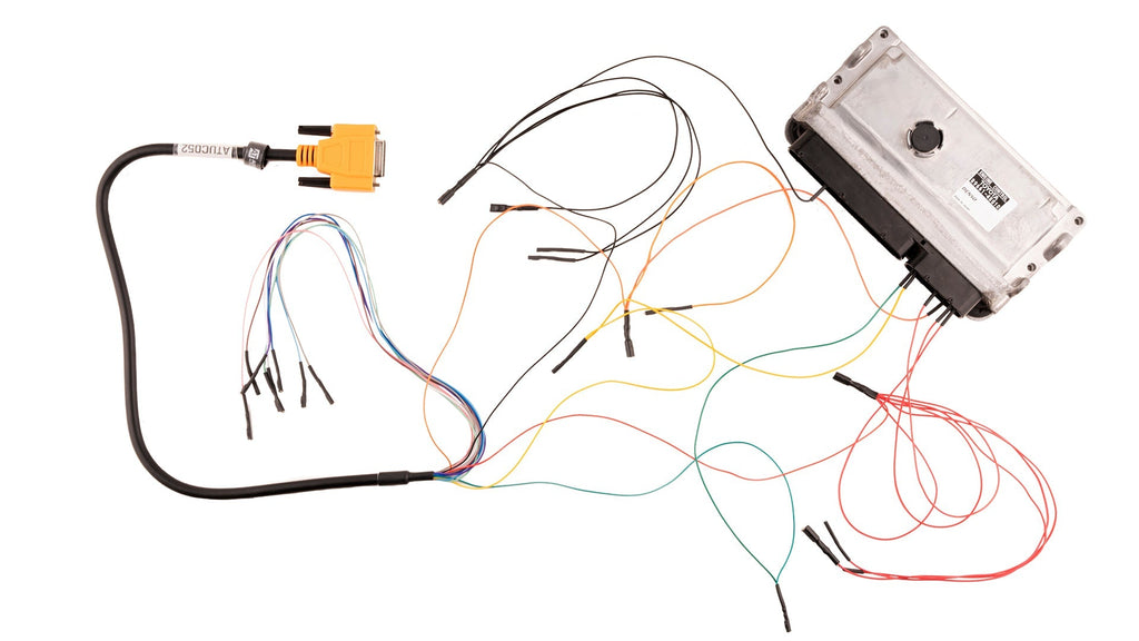 Bench Harness: Universal (Orange)