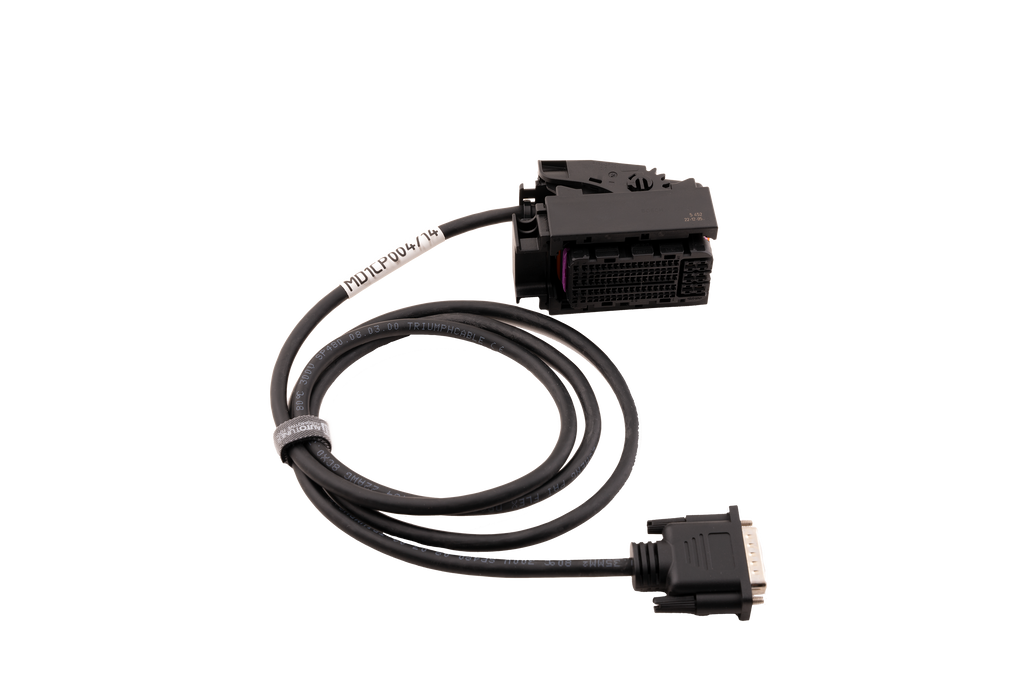 Bench Harness: VAG MG1CS163, MG1CS164, MG1CS031, MG1CS142, & MD1CP004