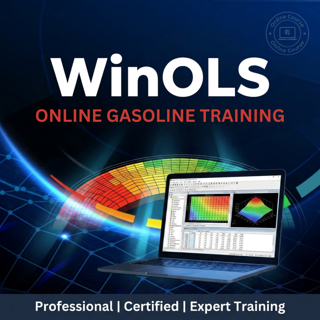 EVC WinOLS GASOLINE Tuning: ONLINE MODULES - Viezu USA